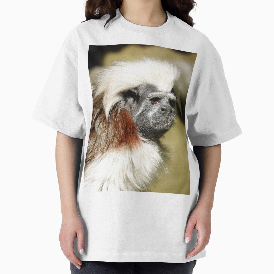 Cotton-top Tamarin by kirstybush