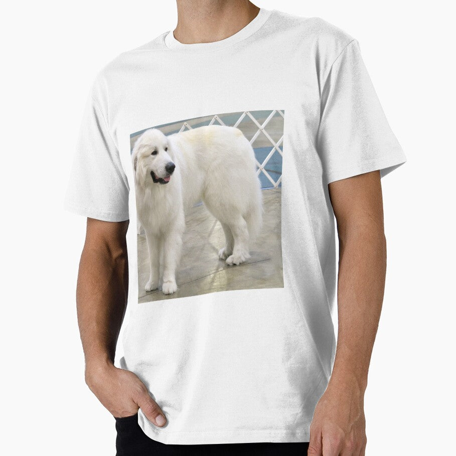 Great Pyrenees by laurafay