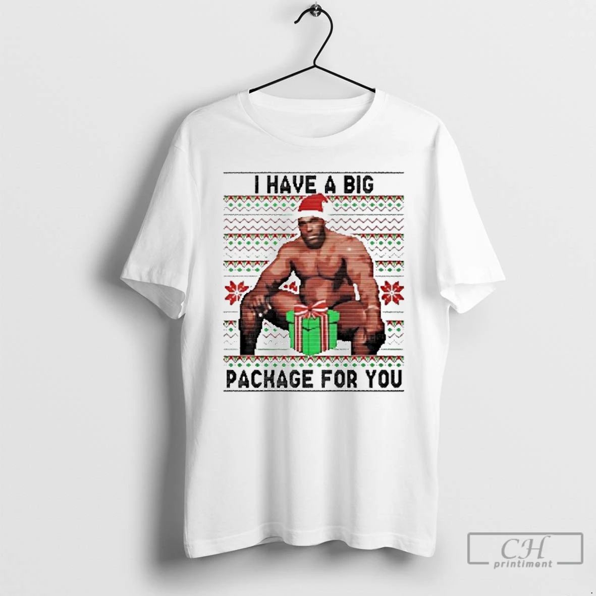 Classic I Have A Big Package For You Ugly Christmas T Shirts