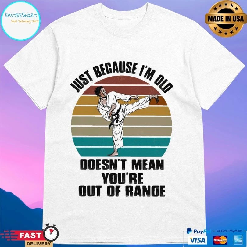 Just Because I’m Old Doesn’t Mean You’re Are Out Of Range Karate Vintage T-shirt
