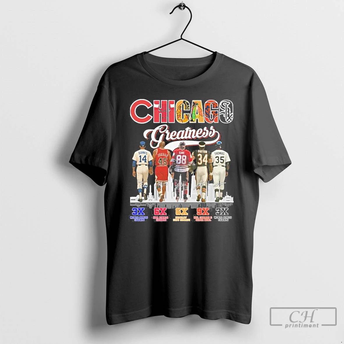 Premium Chicago Sports Teams Players Greatness T Shirts