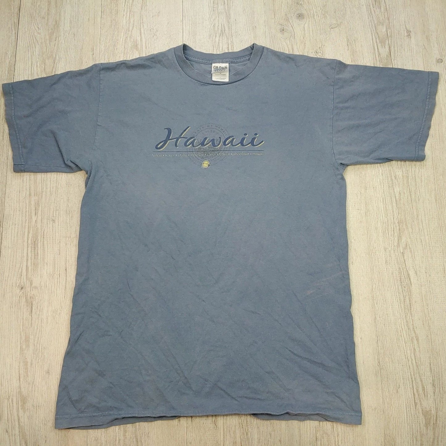 Y2K Hawaii Islands Boxy T-Shirt Travel Tee Men's Size L Cotton Gildan Blue