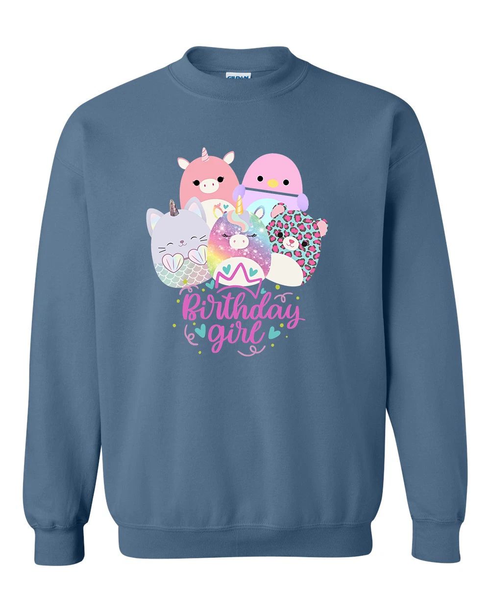 Birthday Squish Sweatshirt, Cute Teenage Birthday, Birthday Girl Gift , 10Th Tee