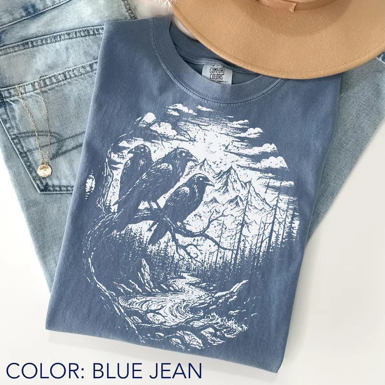 Vintage Raven Graphic Comfort Tee