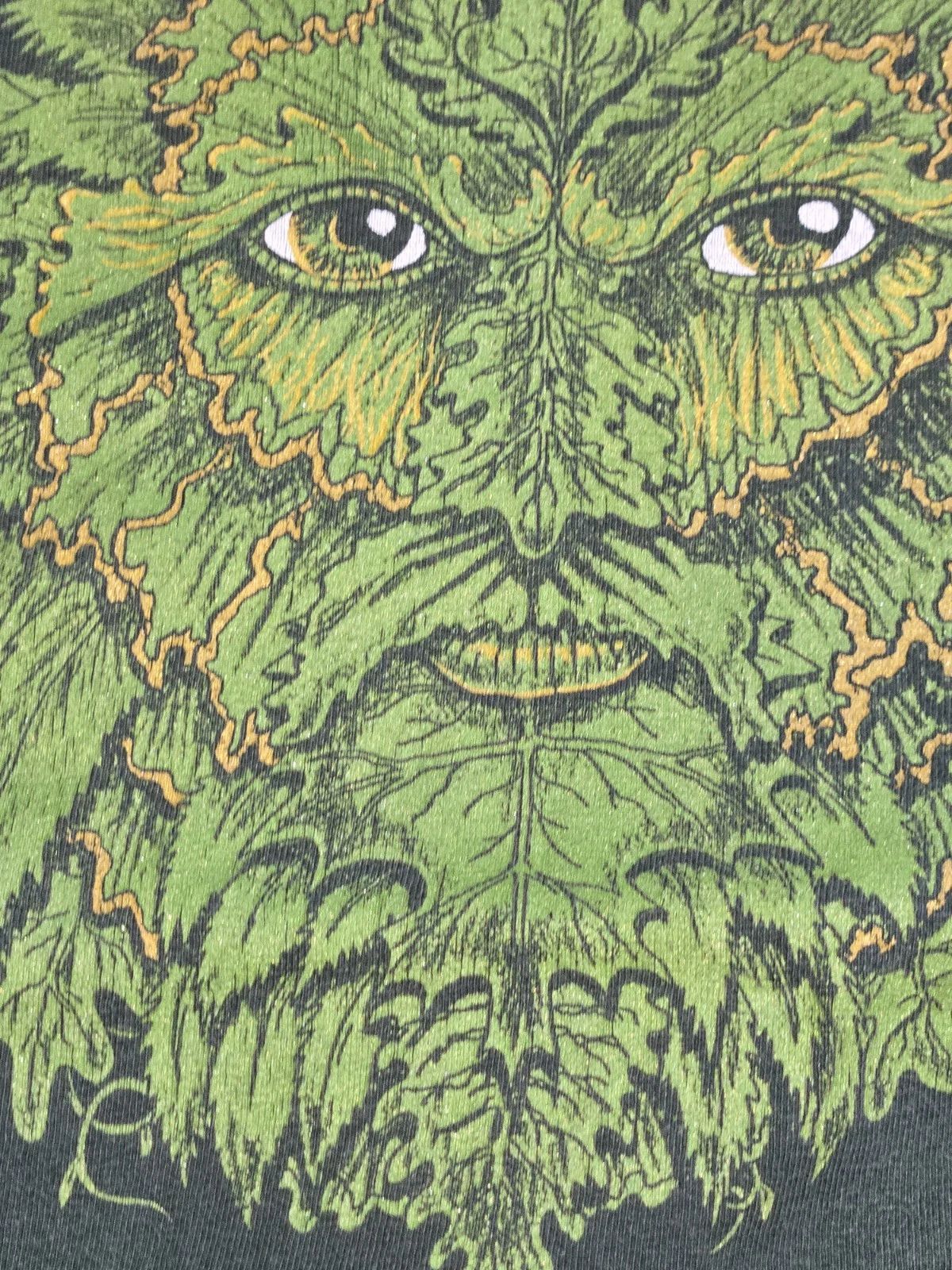 Fruit Of Loom Green Graphic Shirt Fantasy Folklore Nature Art Mens L (READ)