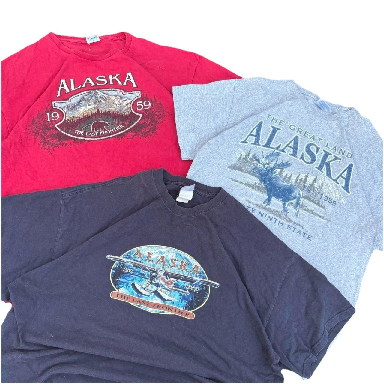3-Pack Mystery Destination T-Shirt Bundle | Tourist Travel Thrifted Graphic