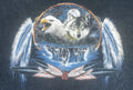 Vintage Wolf T-Shirt Delta Pro Weight Tribal Dreamcatcher USA Men’s XL Graphic T