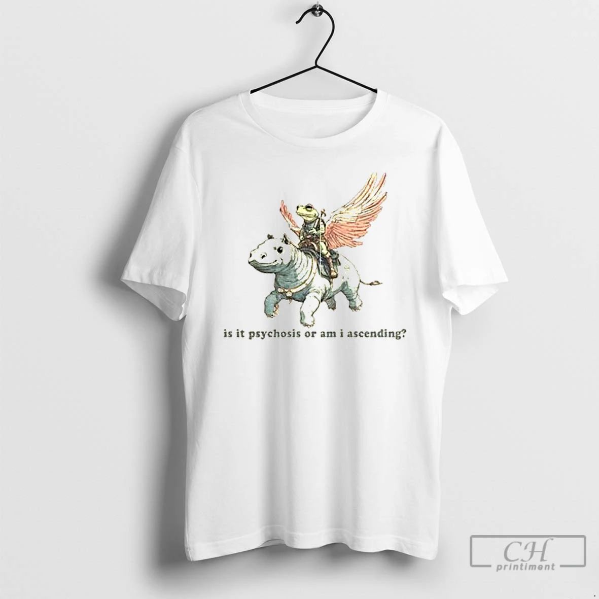 Classic Frog Driving Hippo Is It Psychosis Or Am I Ascending T Shirts