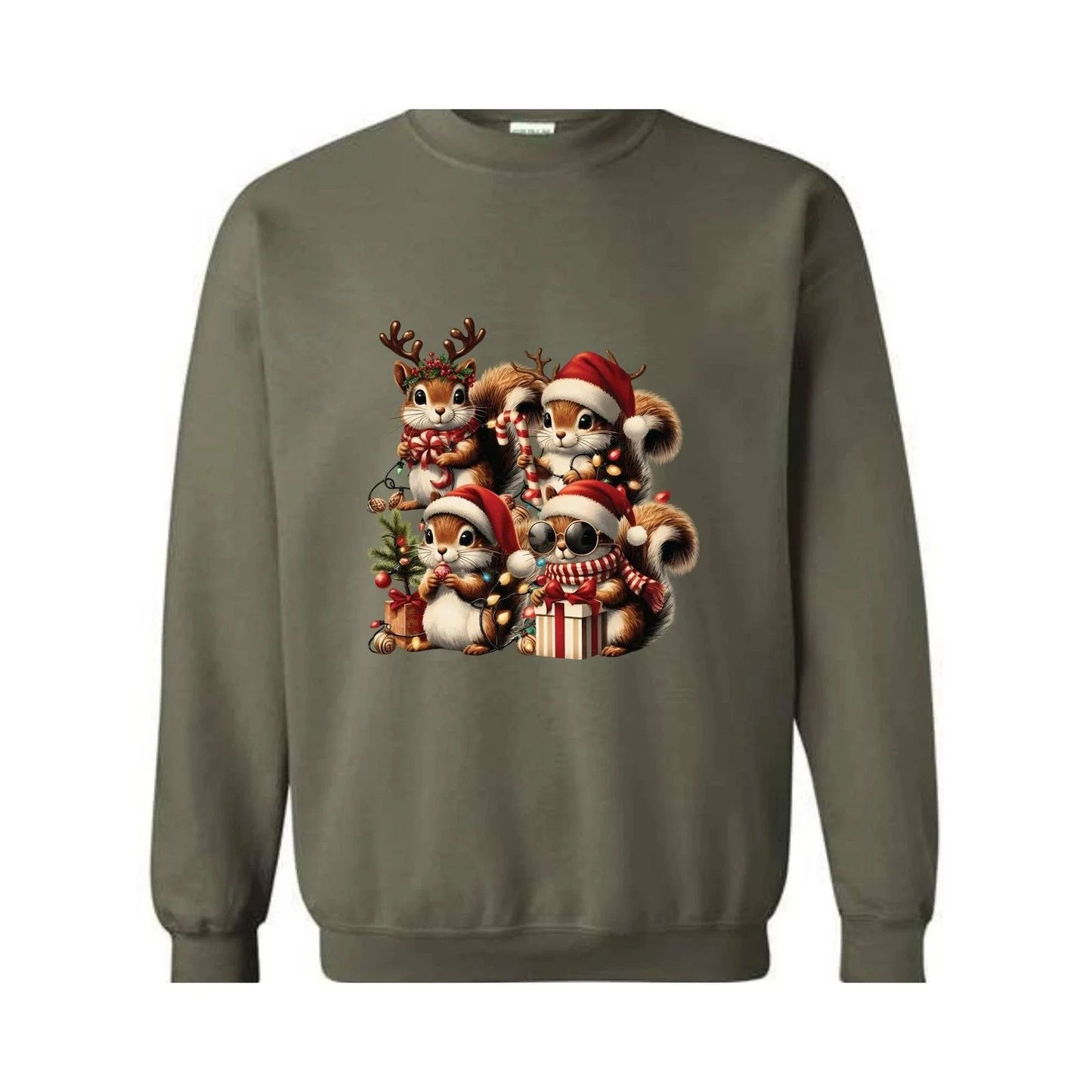 Cute Squirrel Christmas Sweatshirt, Holiday Squirrel Sweatshirt, Funny Xmas Squi