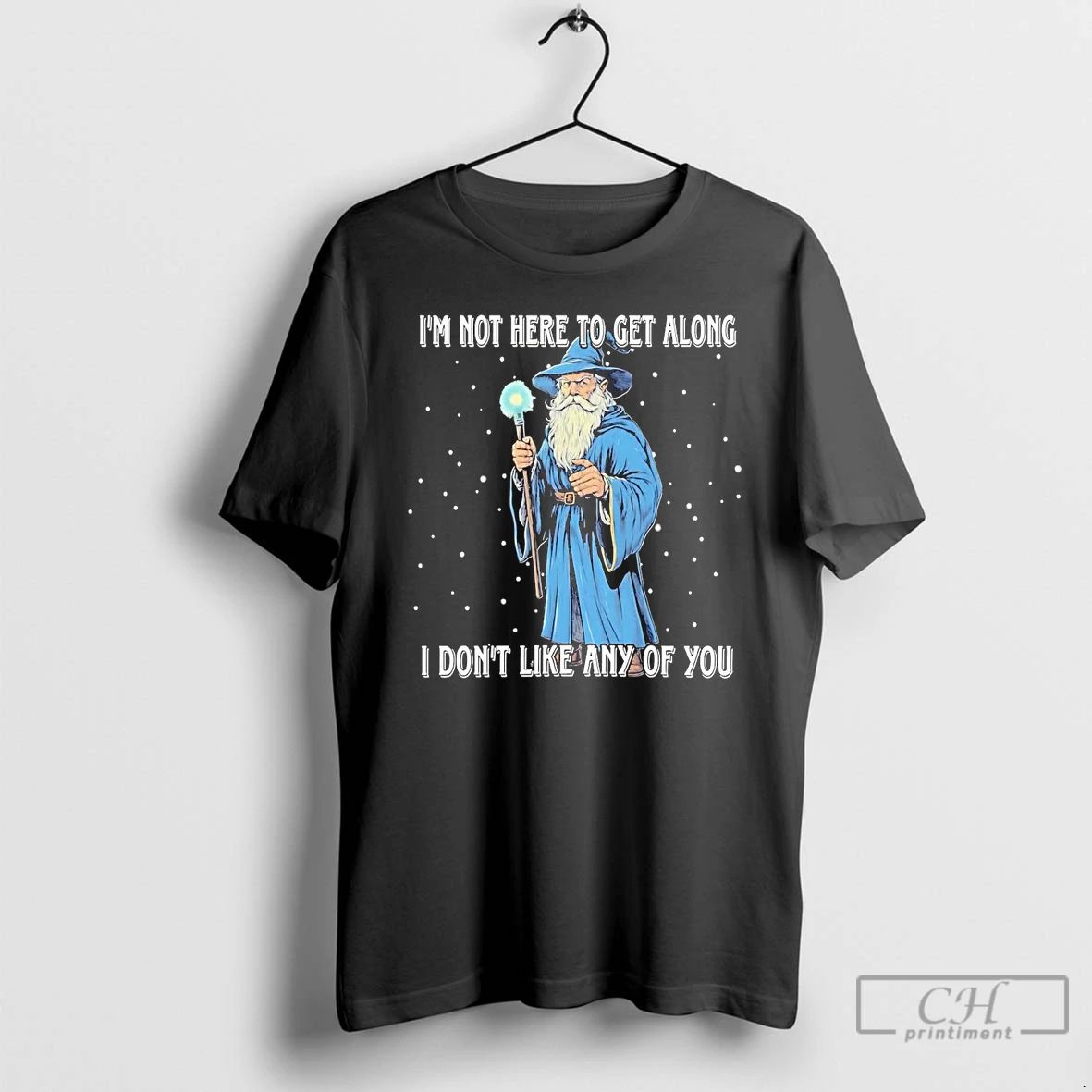 Classic Wizard Im Not Here To Get Along I Dont Like Any Of You