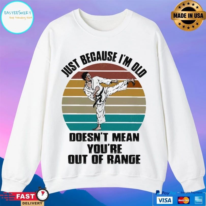 Just Because I’m Old Doesn’t Mean You’re Are Out Of Range Karate Vintage T-shirt