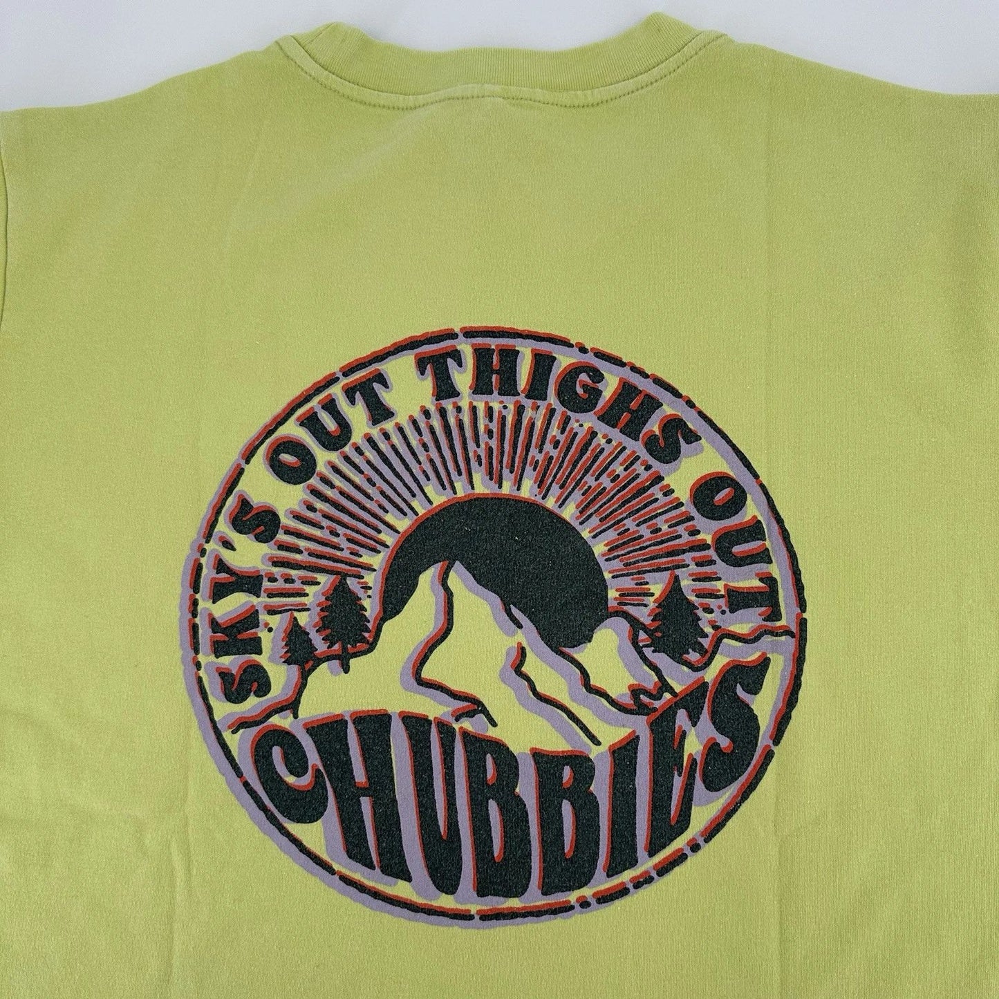 Chubbies Shirts Mens Medium OVERSIZED TEE The Daily Reminder Skys Out Thighs Out