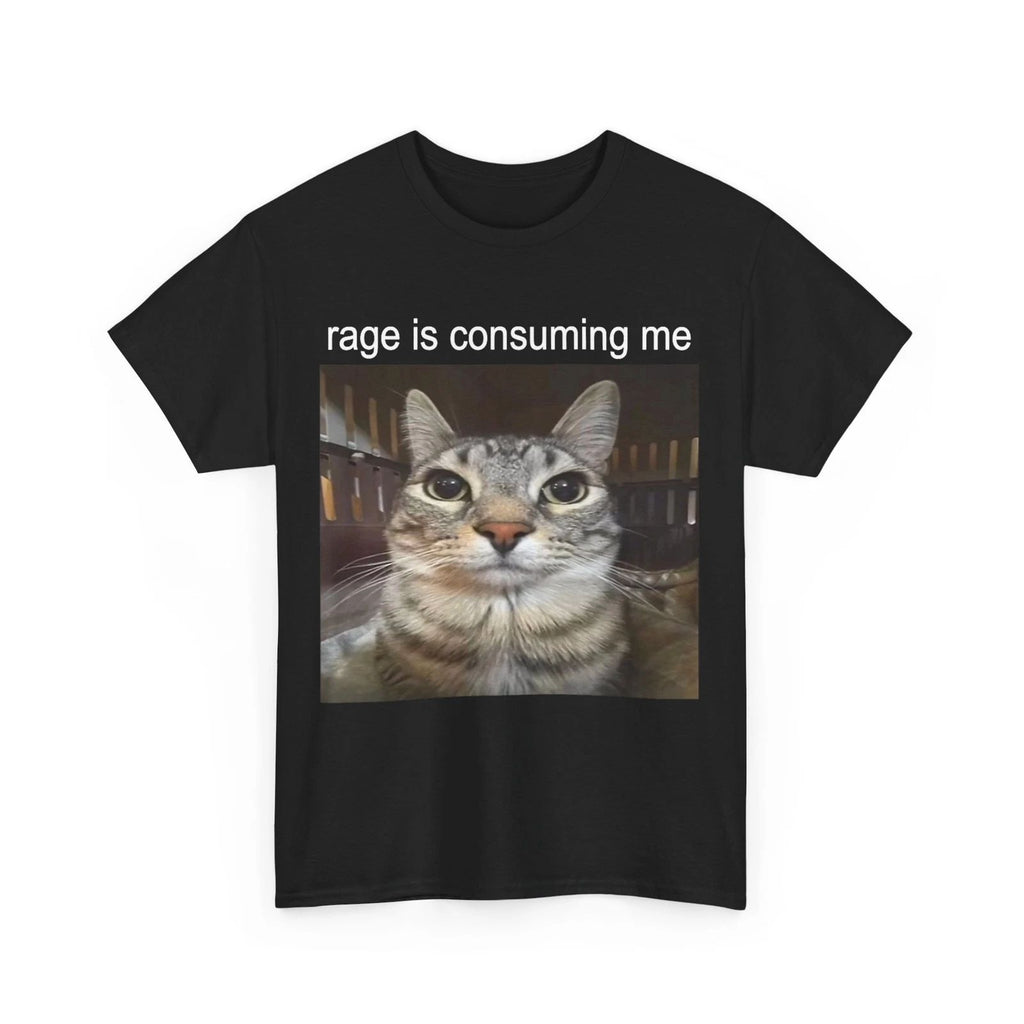 Rage Is Consuming Me Silly Staring Cat Meme T-Shirt