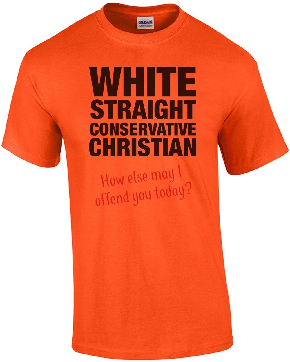White, Straight, Conservative, Christian... How Else May I Offend You Today? ...