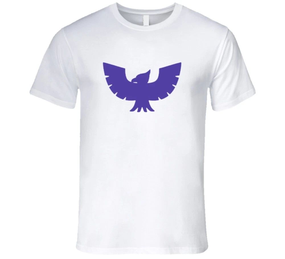 Captain Falcon Logo Retro Video Game F Zero T Shirt