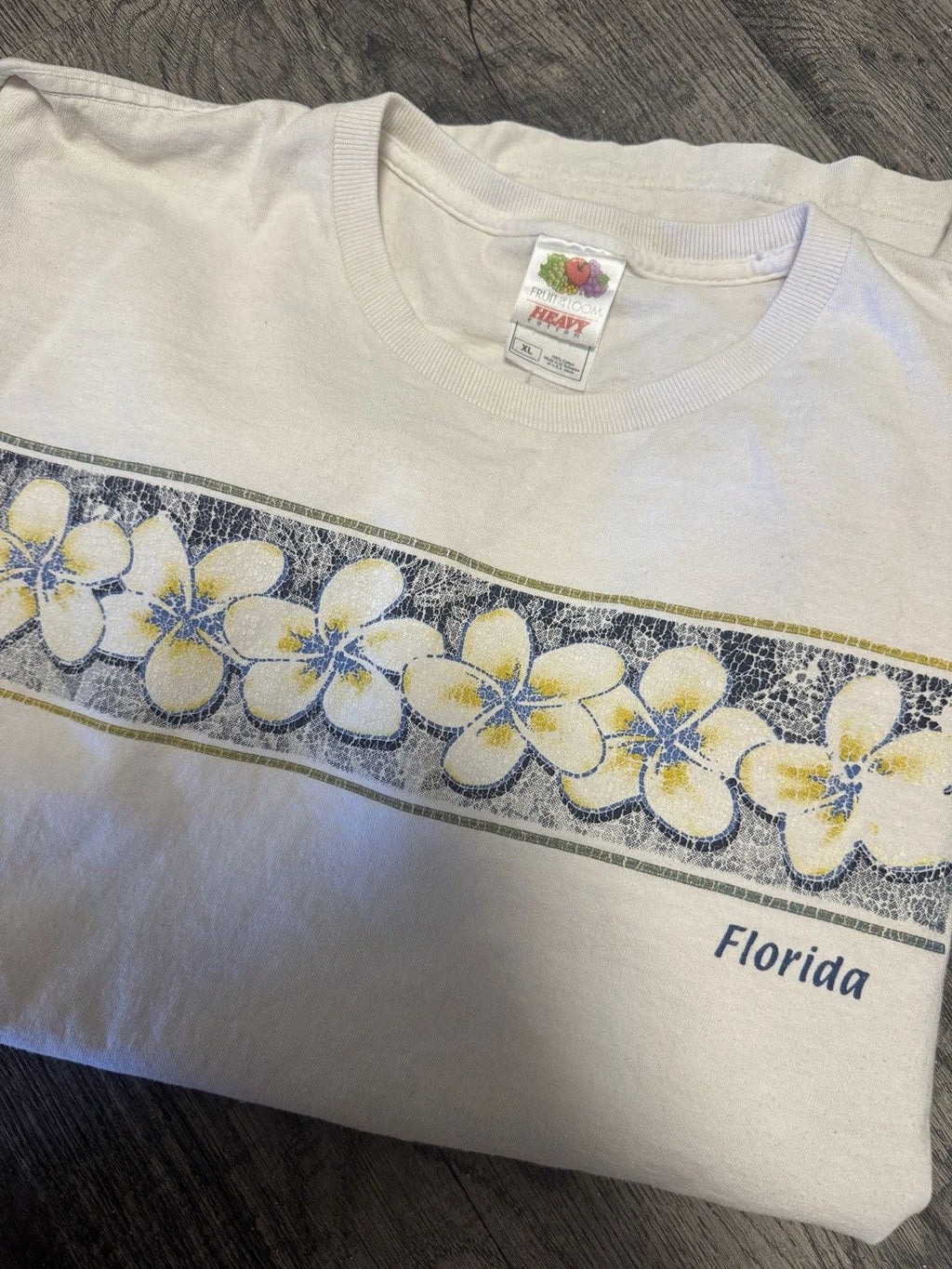 Vintage 90s Y2K Florida Surfer Aesthetic Fruit of the Loom Heavyweight