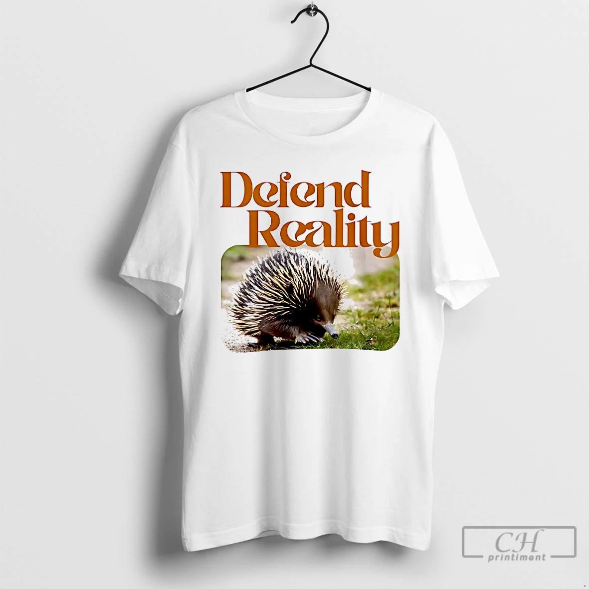 Classic Hedgehog Defend Reality T Shirts