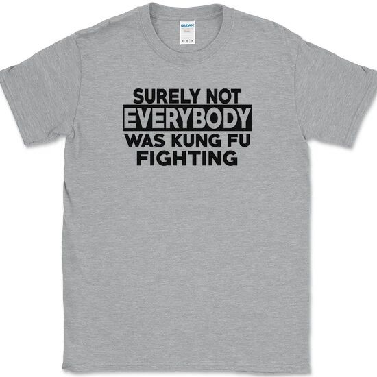 Surely Not Everyone Was Kung fu Fighting T-Shirt Funny Music Song Tee