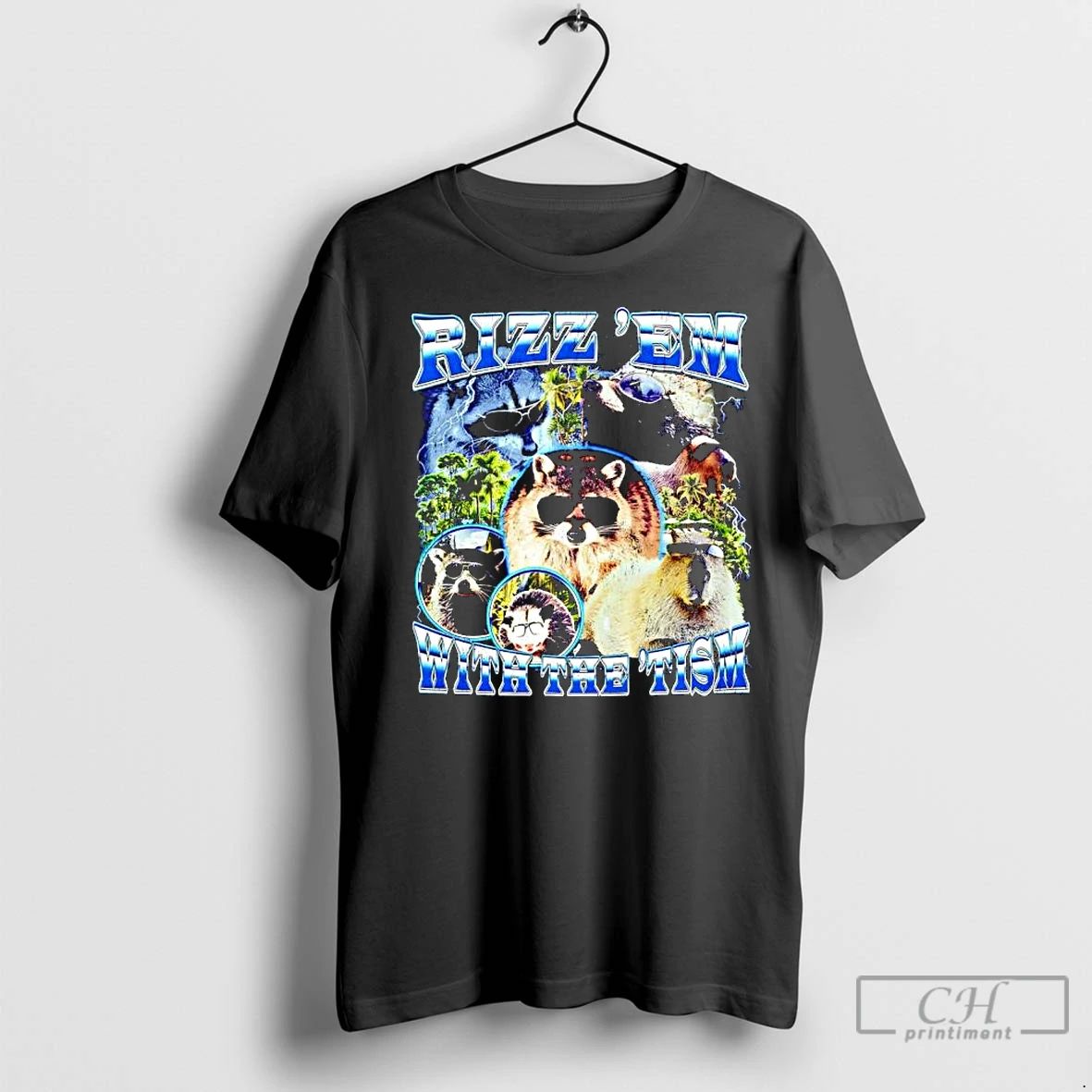 Premium Rizz Em With The Tism Raccoons Capybara Opossum Sunglasses Graphic