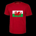 Wales Flag Red Dragon T-shirt for Adult, Children Ladies World Cup Football 2022