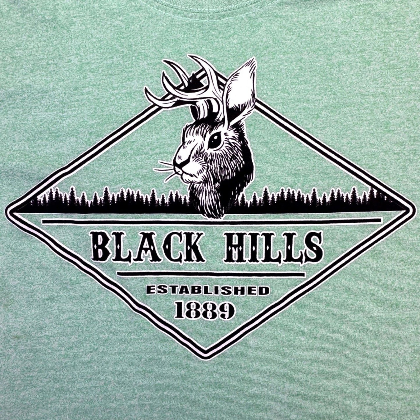 US Vintage Black Hills South Dakota Shirt Men's Small Jackalope Graphic T-Shirt